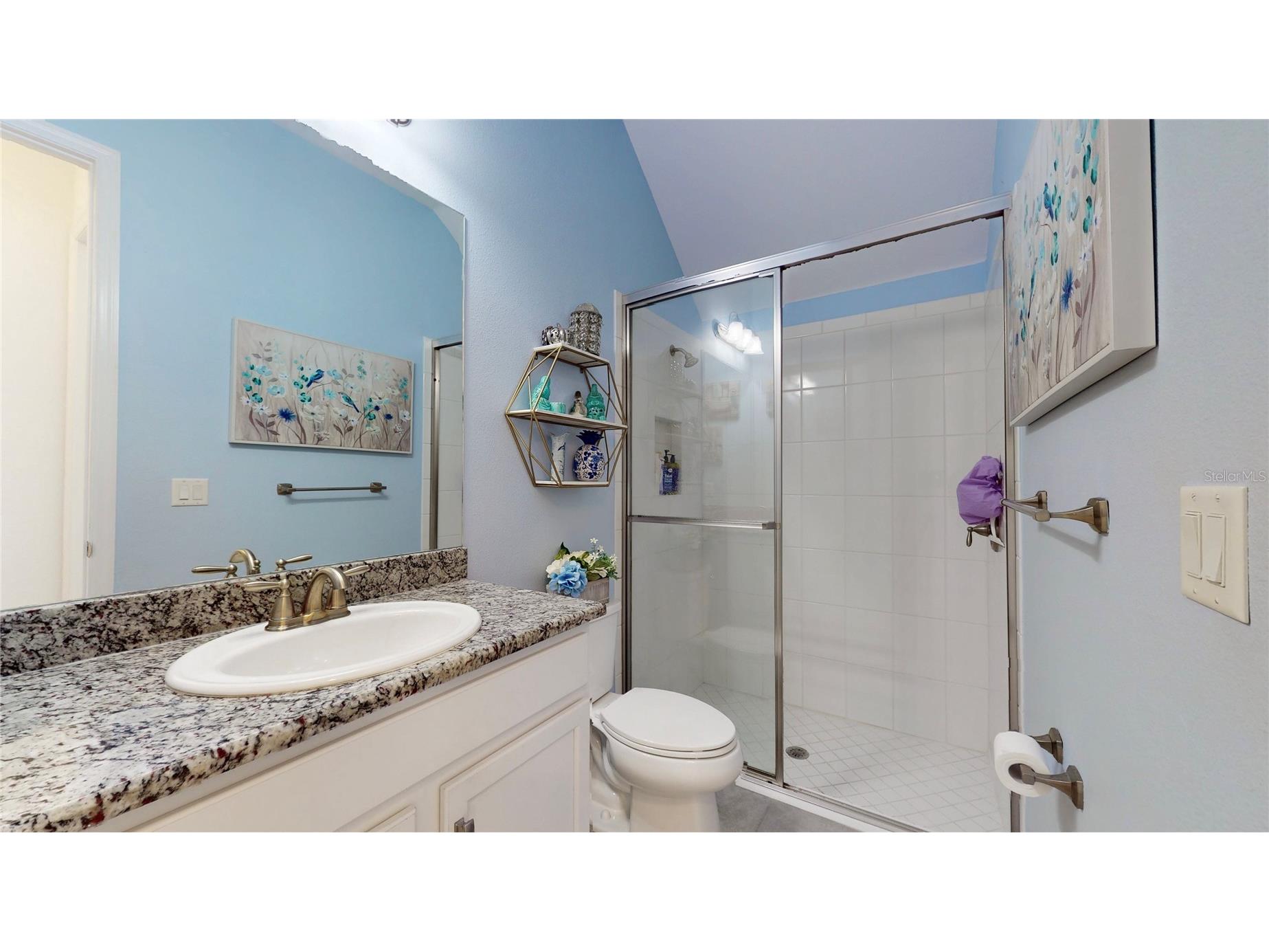 30843 Lindentree Drive Wesley Chapel FL 33543 G5112492 image12
