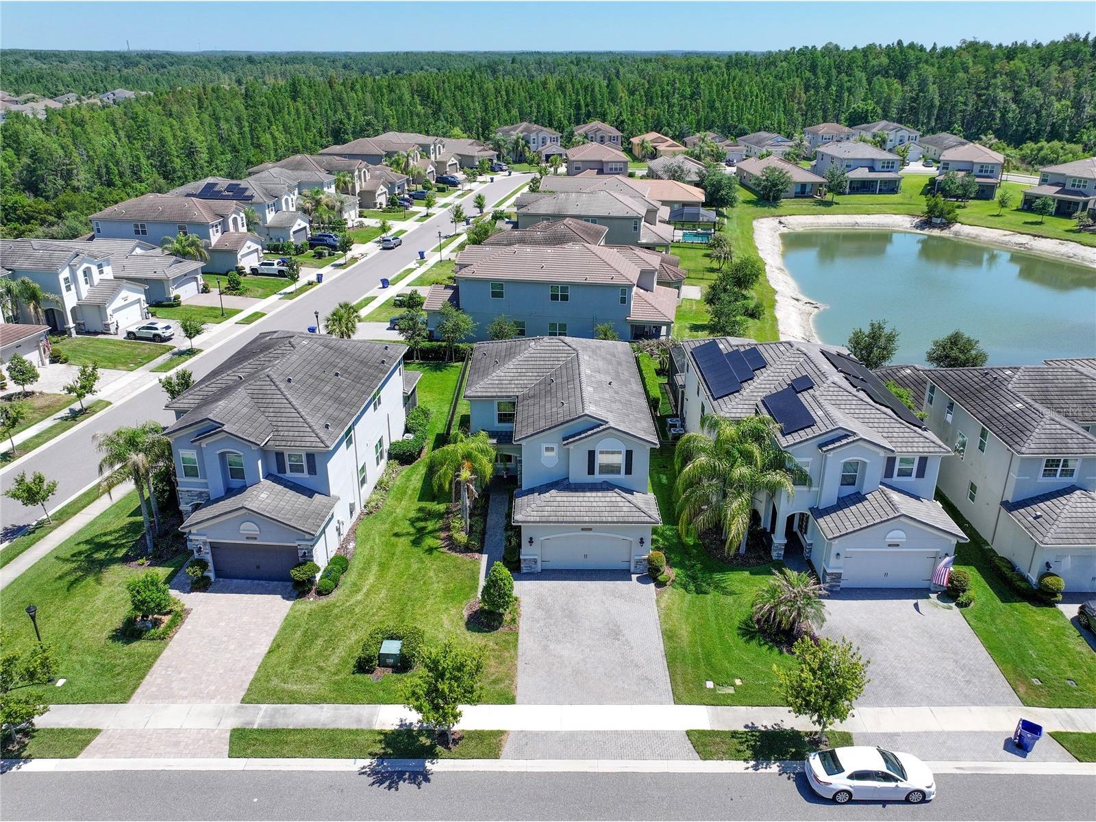 30843 Lindentree Drive Wesley Chapel FL 33543 G5112492 image25