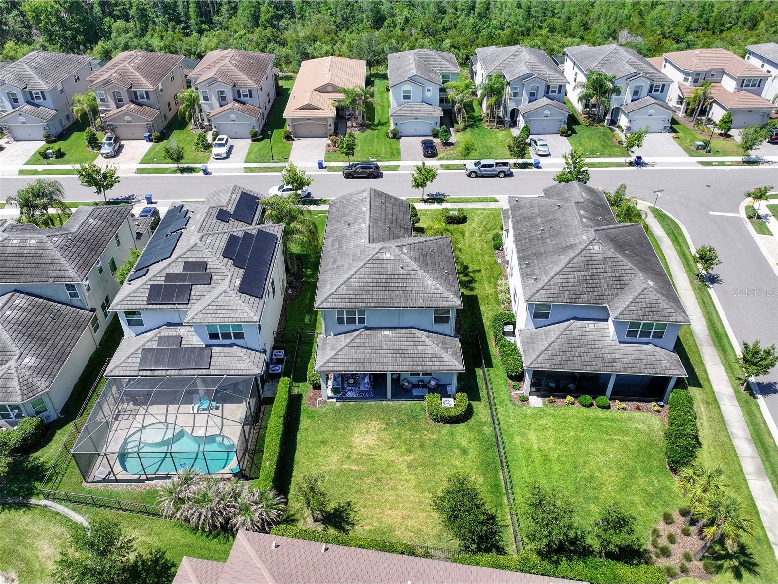 30843 Lindentree Drive Wesley Chapel FL 33543 G5112492 image26
