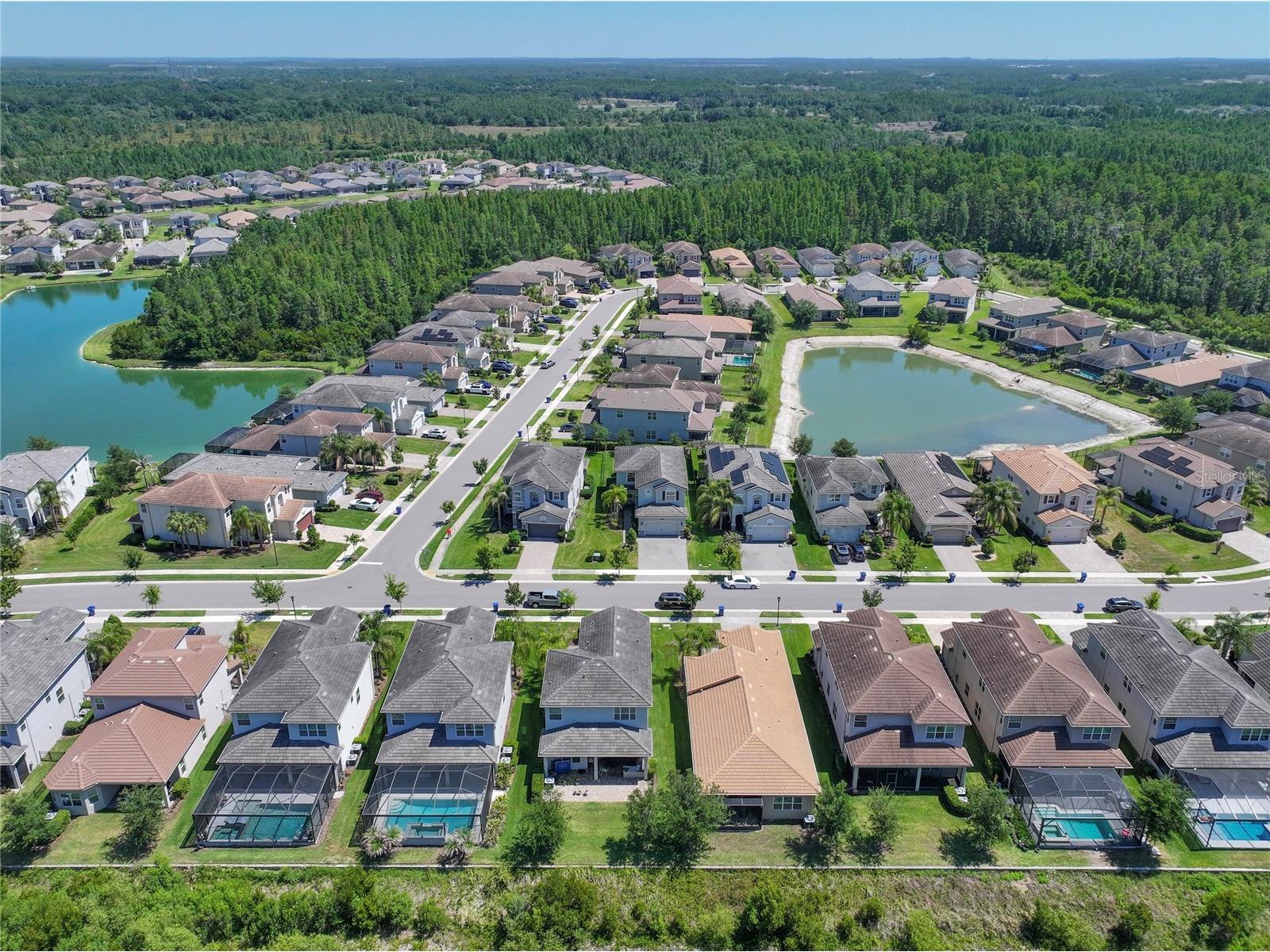 30843 Lindentree Drive Wesley Chapel FL 33543 G5112492 image59