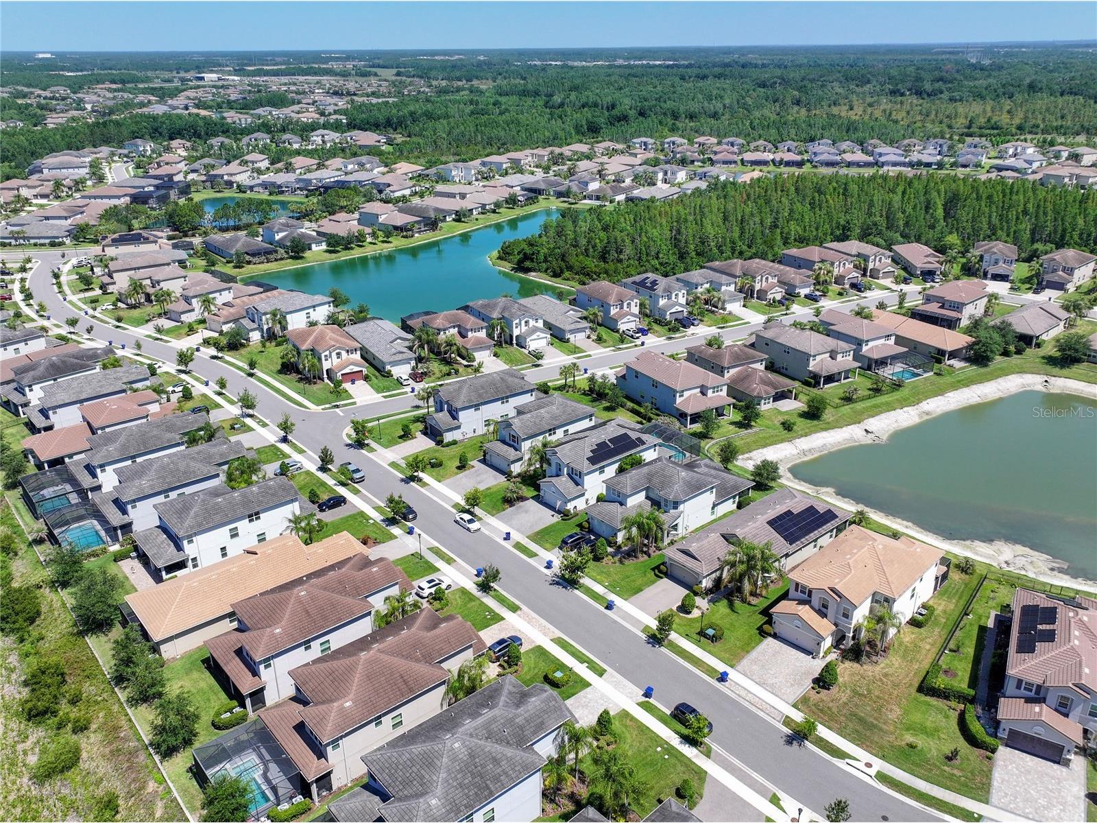 30843 Lindentree Drive Wesley Chapel FL 33543 G5112492 image60