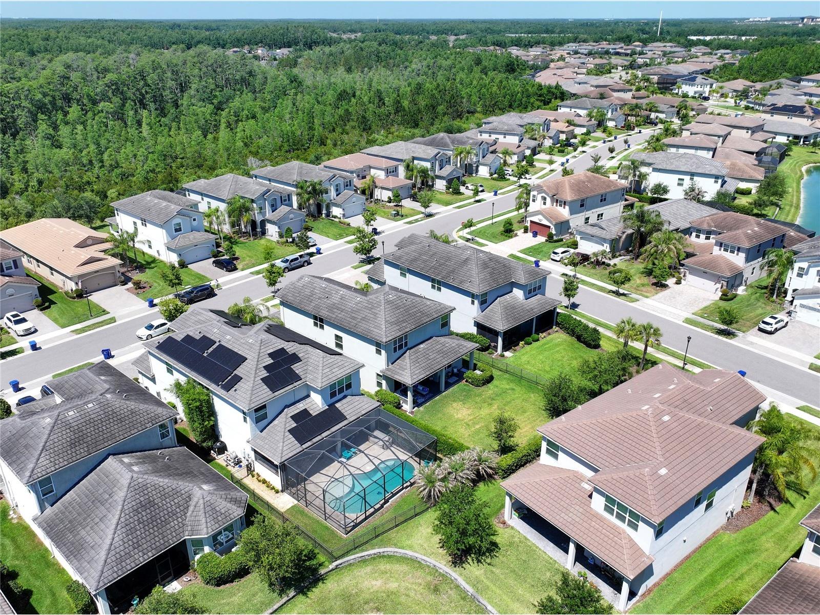 30843 Lindentree Drive Wesley Chapel FL 33543 G5112492 image61