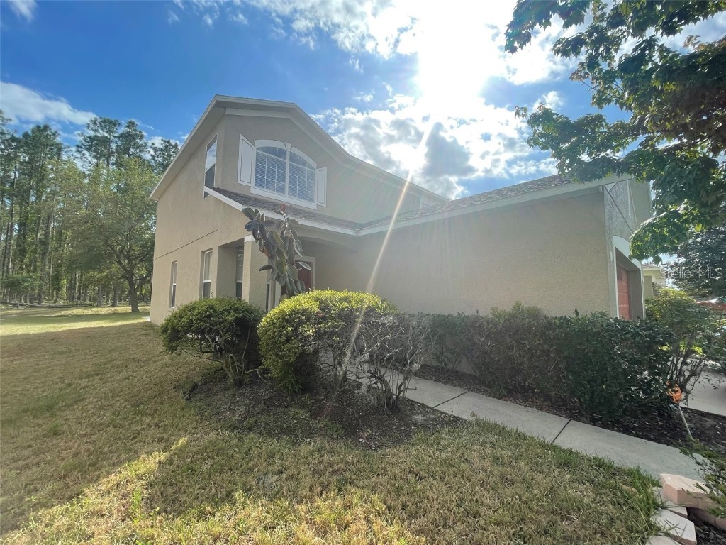 30846 White Bird Avenue Wesley Chapel FL 33543 T3437156 image1