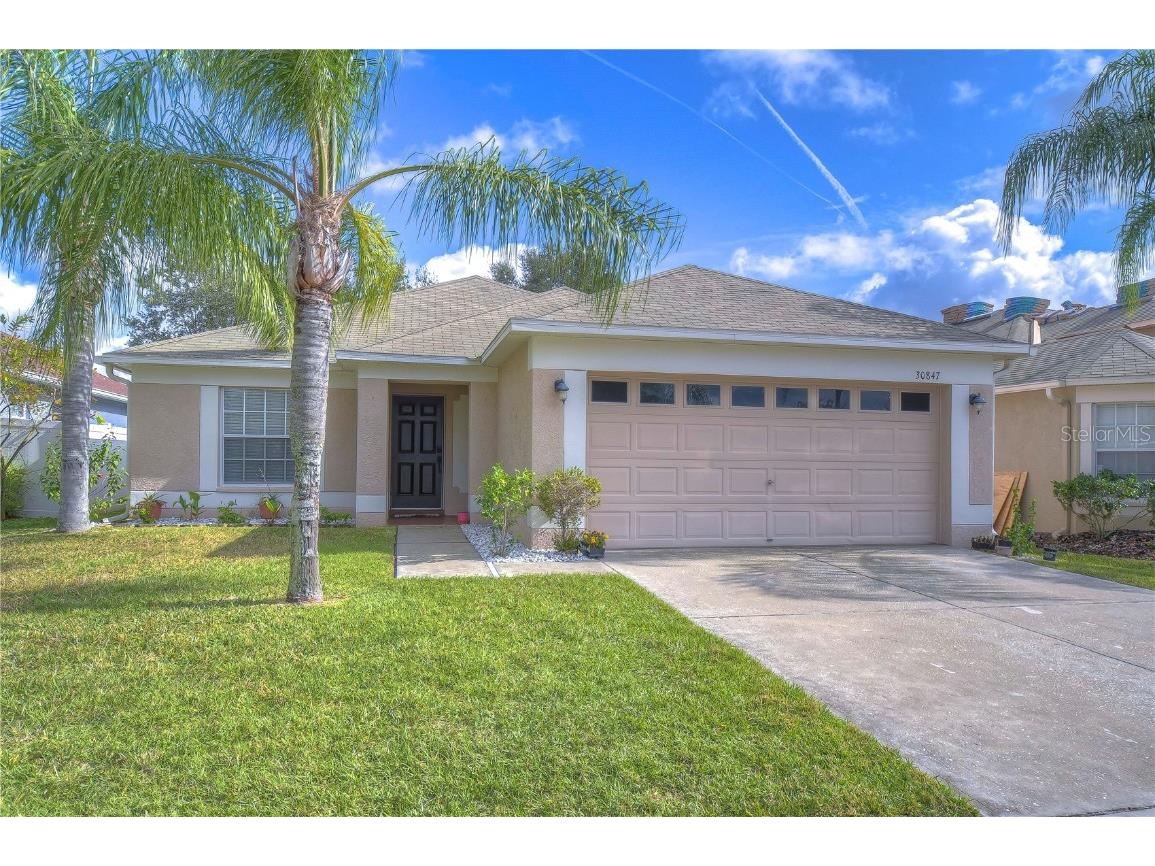 30847 Bridgegate Drive Wesley Chapel FL 33545 T3526285 image1