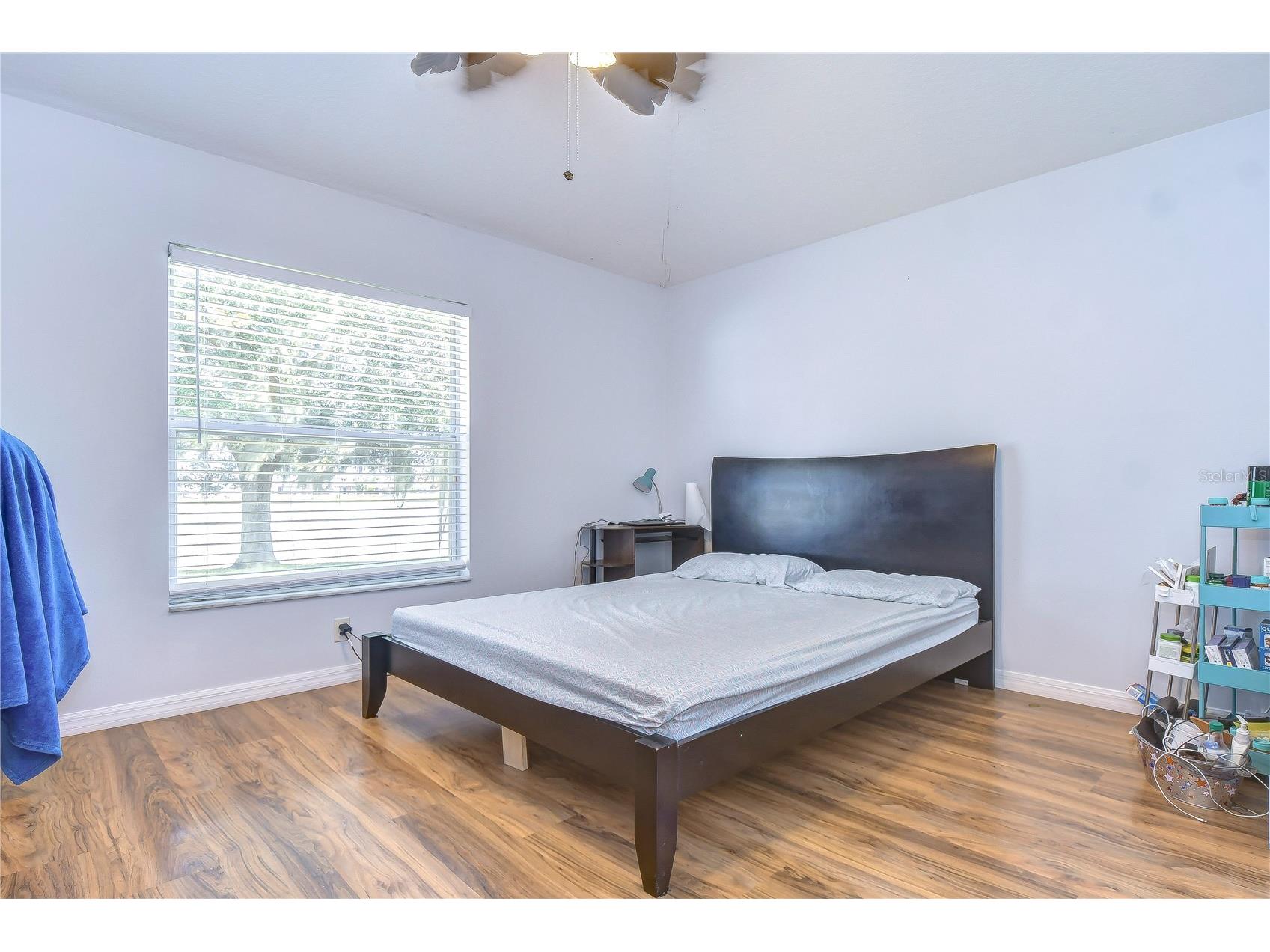 30847 Bridgegate Drive Wesley Chapel FL 33545 TB8526285 image12