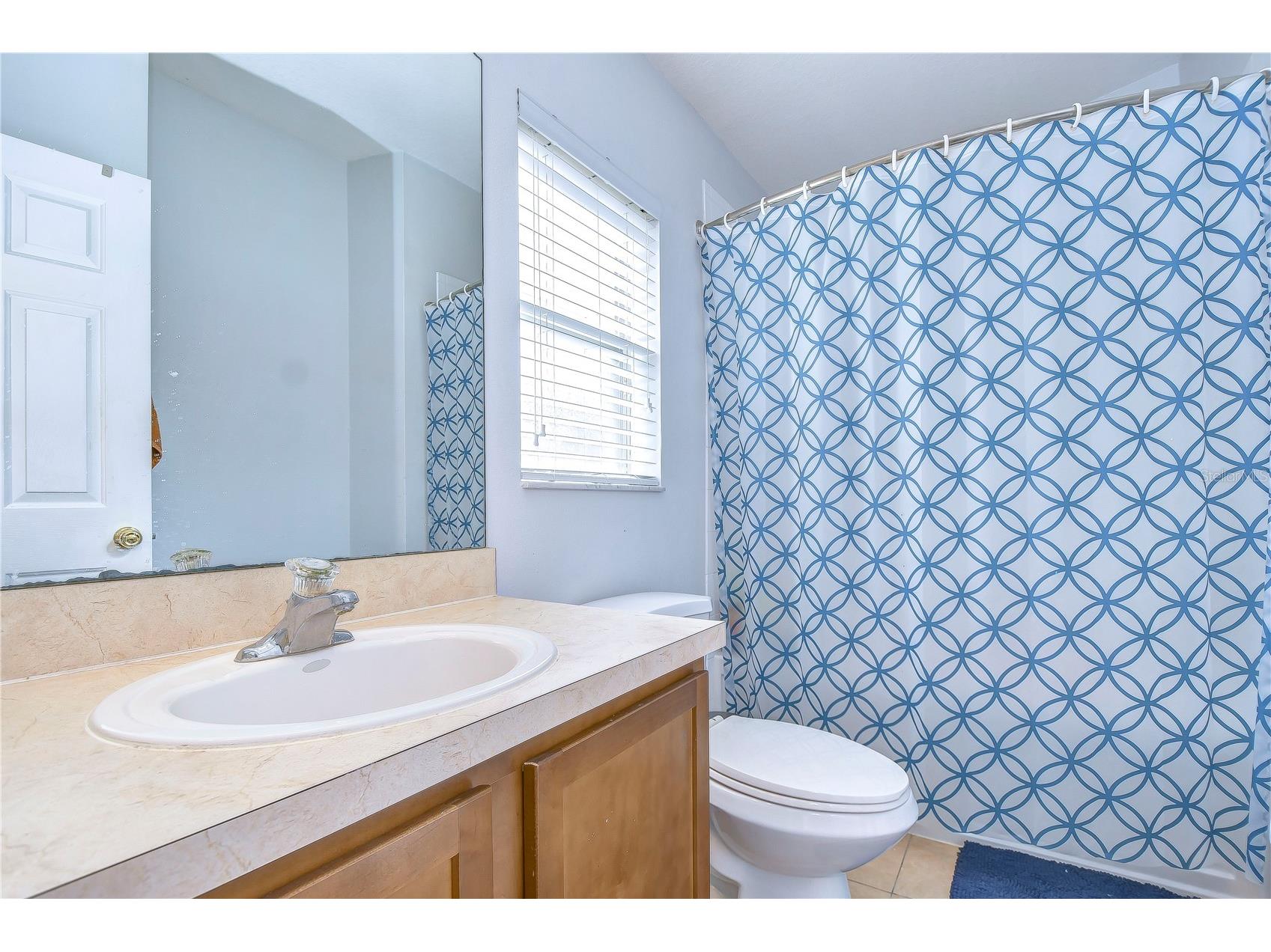 30847 Bridgegate Drive Wesley Chapel FL 33545 TB8526285 image19