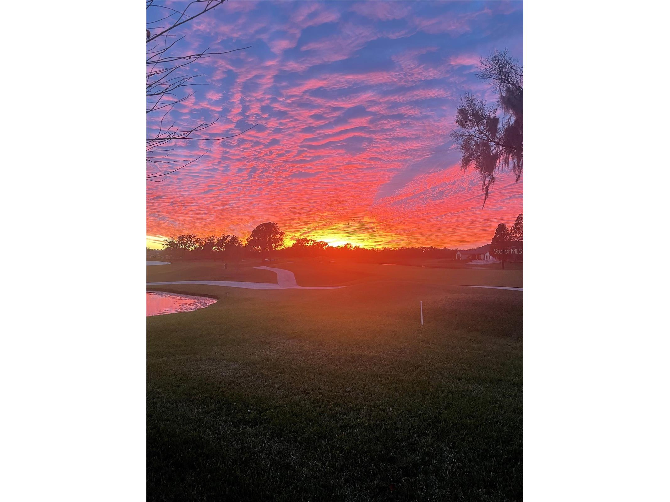 3085 Shoal Creek Village Drive Lakeland FL 33803 TB8497655 image3