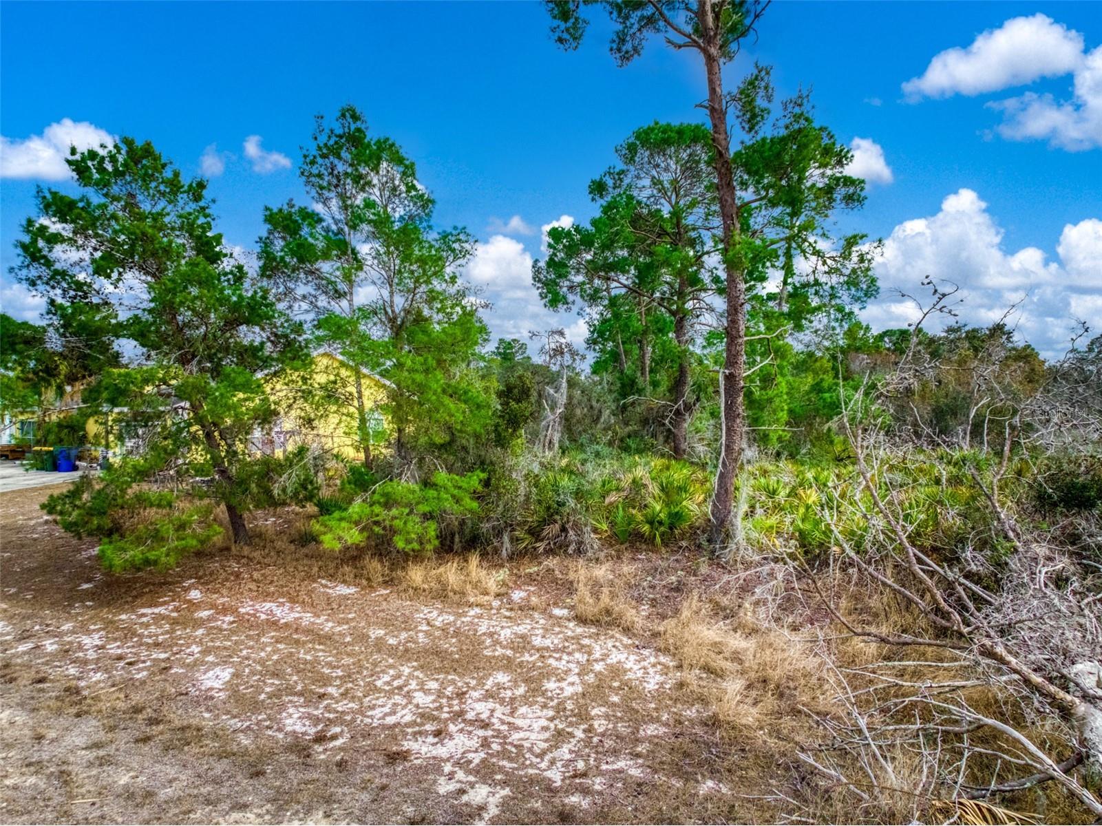 3085 W Scoralick Road Avon Park FL 33825 P4937863 image1