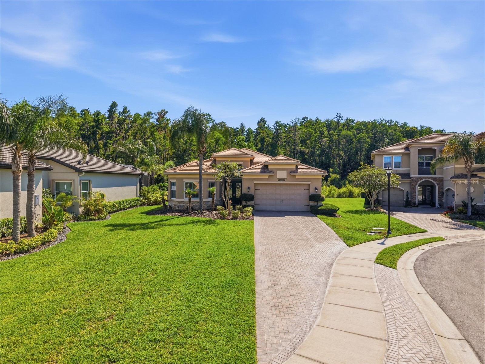 30852 Spruceberry Court Wesley Chapel FL 33543 TB8508762 image2