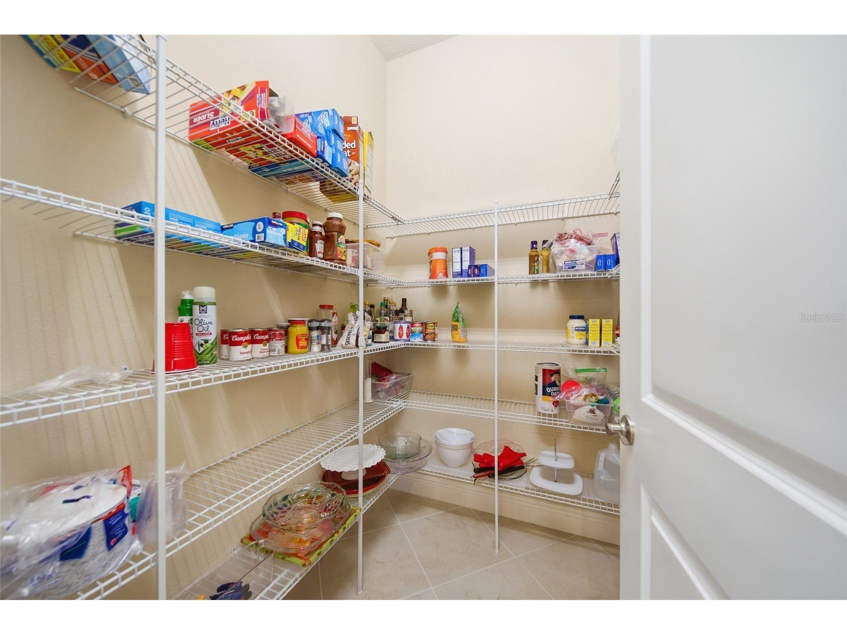 30852 Spruceberry Court Wesley Chapel FL 33543 TB8508762 image22