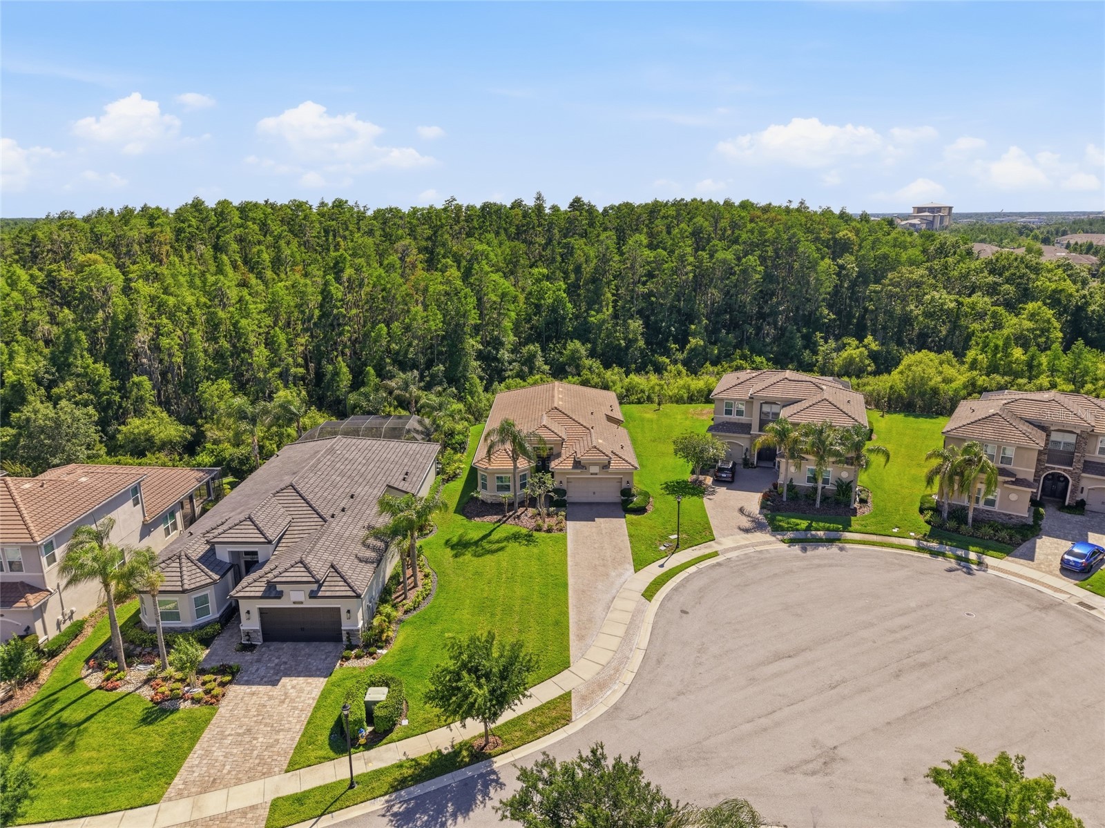 30852 Spruceberry Court Wesley Chapel FL 33543 TB8508762 image3