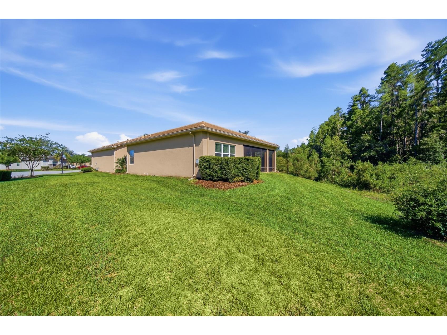 30852 Spruceberry Court Wesley Chapel FL 33543 TB8508762 image41