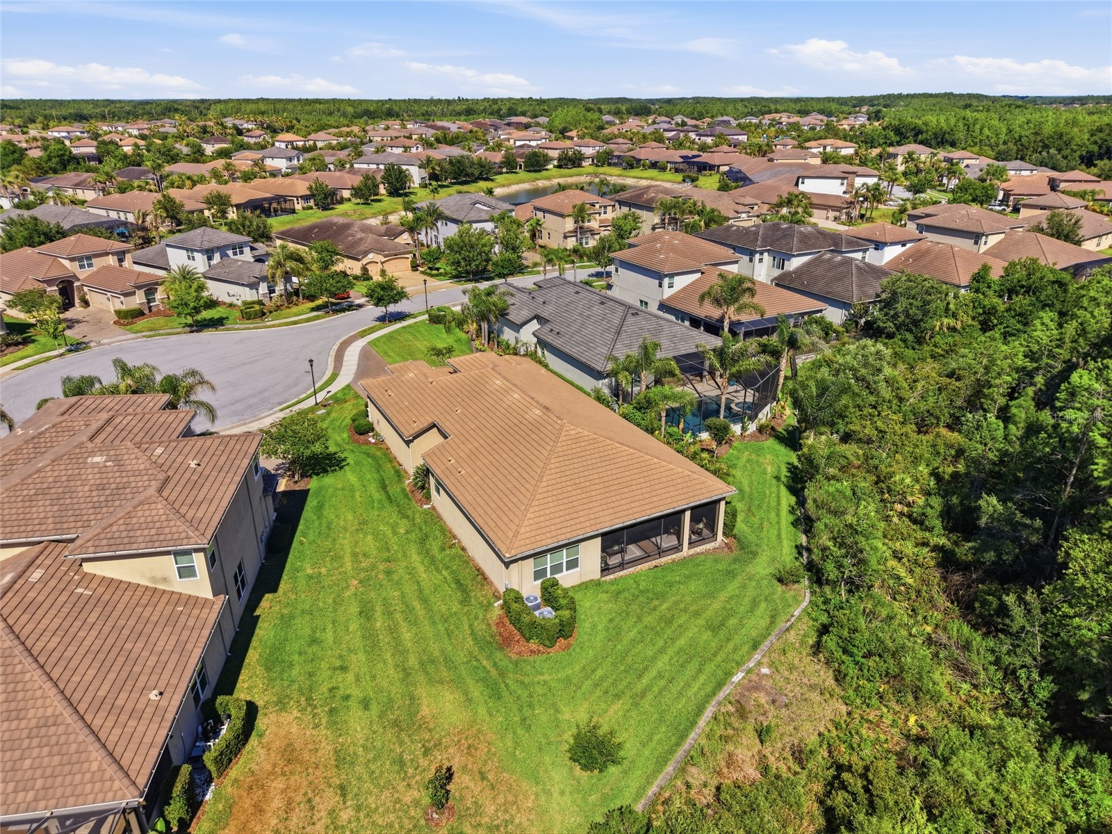 30852 Spruceberry Court Wesley Chapel FL 33543 TB8508762 image42