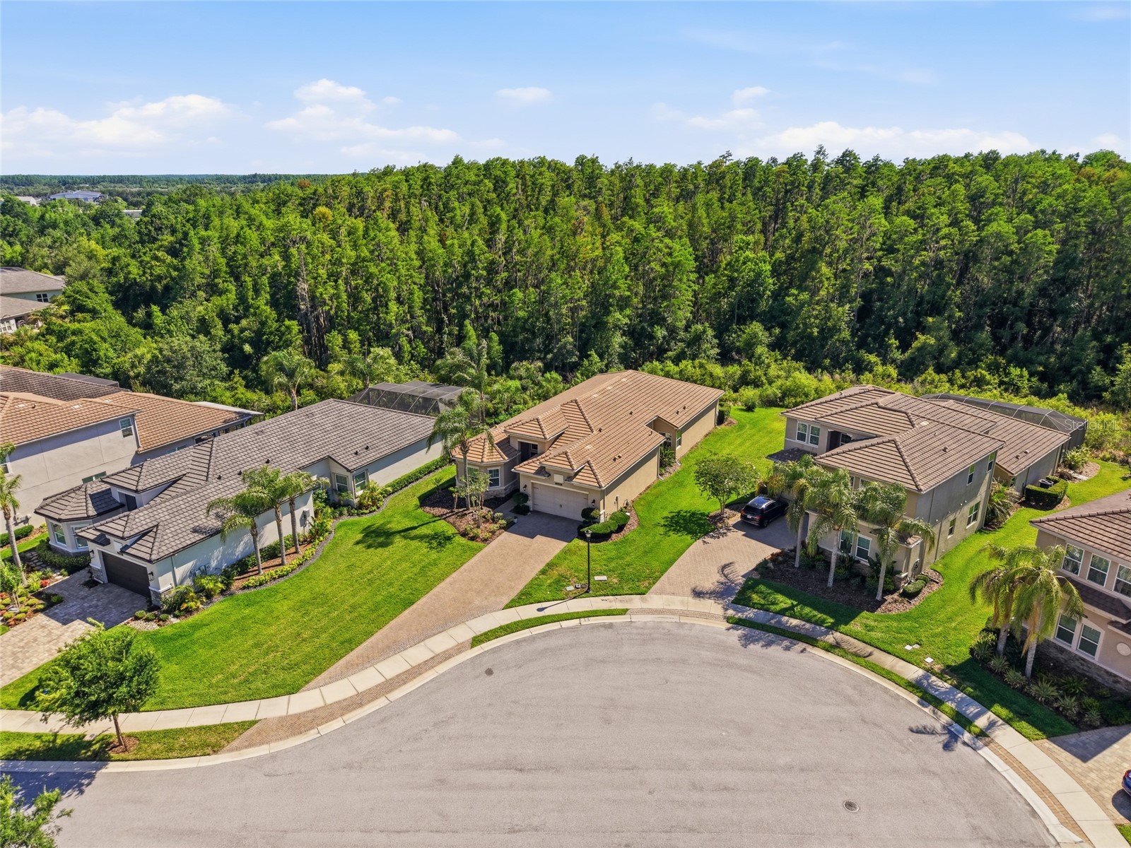 30852 Spruceberry Court Wesley Chapel FL 33543 TB8508762 image44