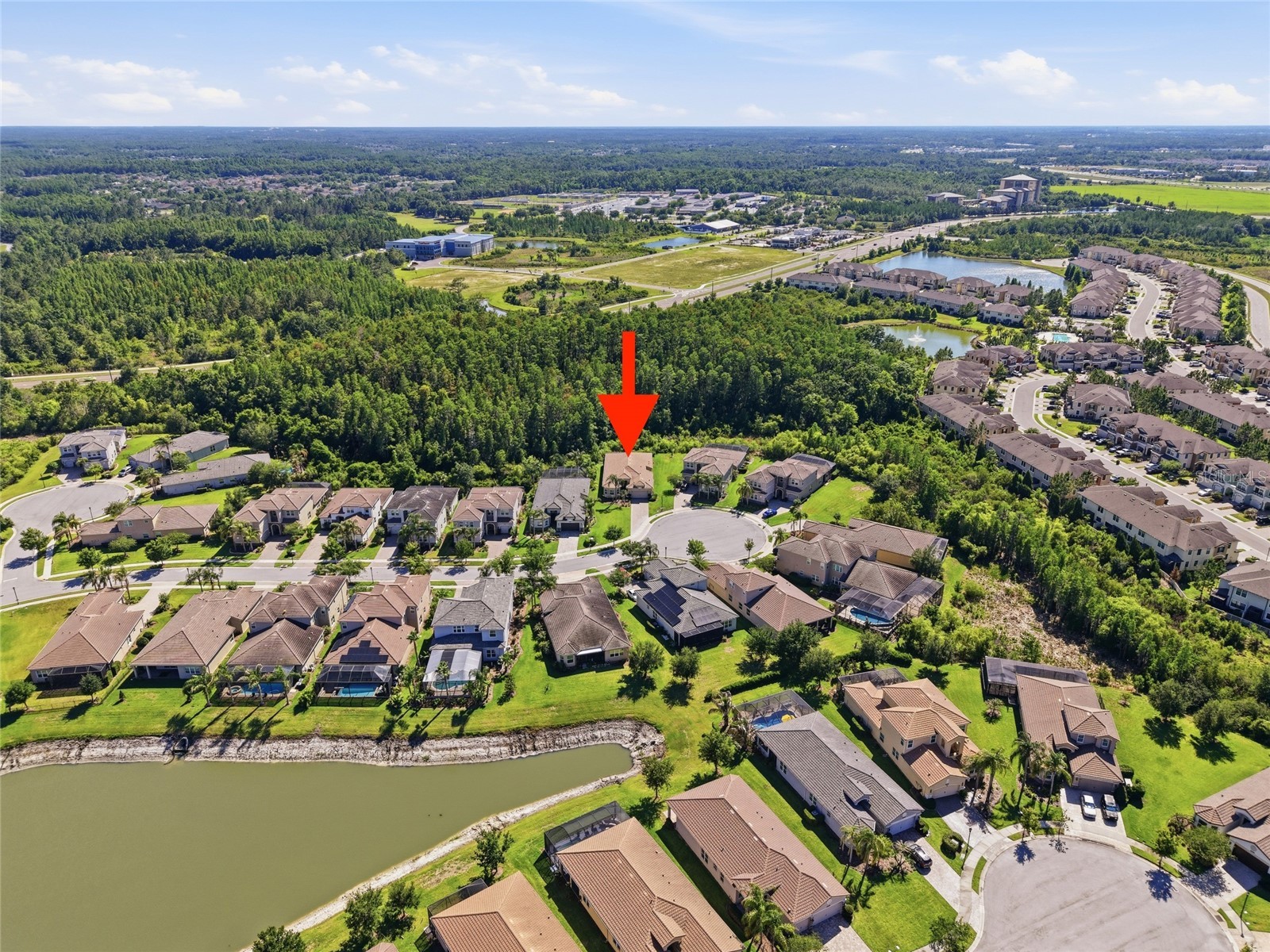 30852 Spruceberry Court Wesley Chapel FL 33543 TB8508762 image45