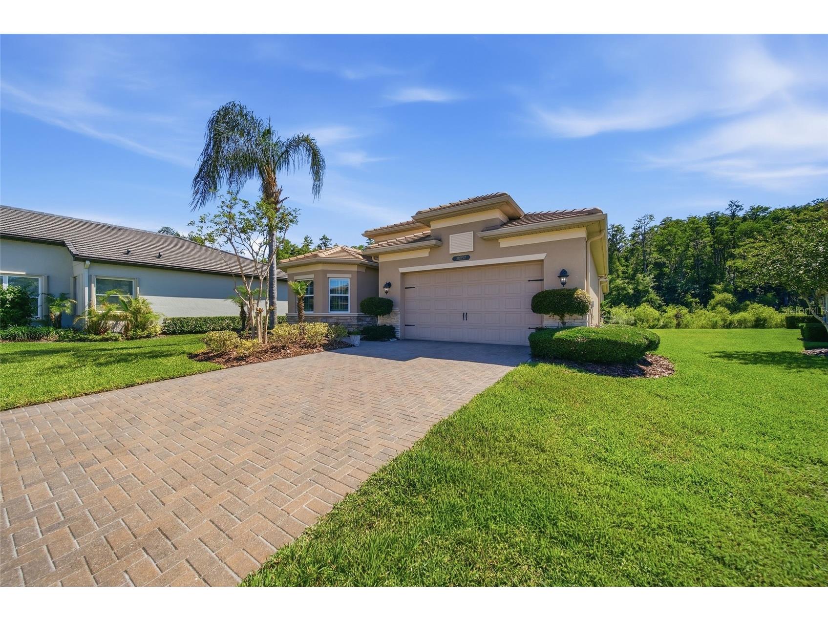 30852 Spruceberry Court Wesley Chapel FL 33543 TB8508762 image6