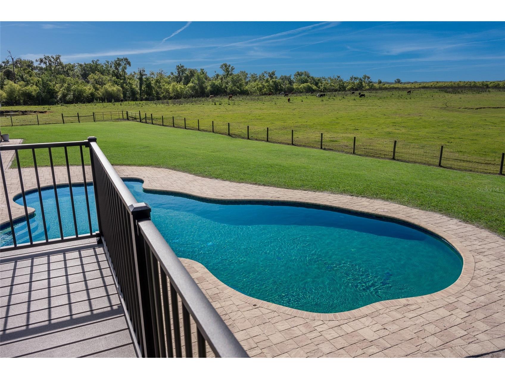 30854 Singletary Road Myakka City FL 34251 A4688139 image58