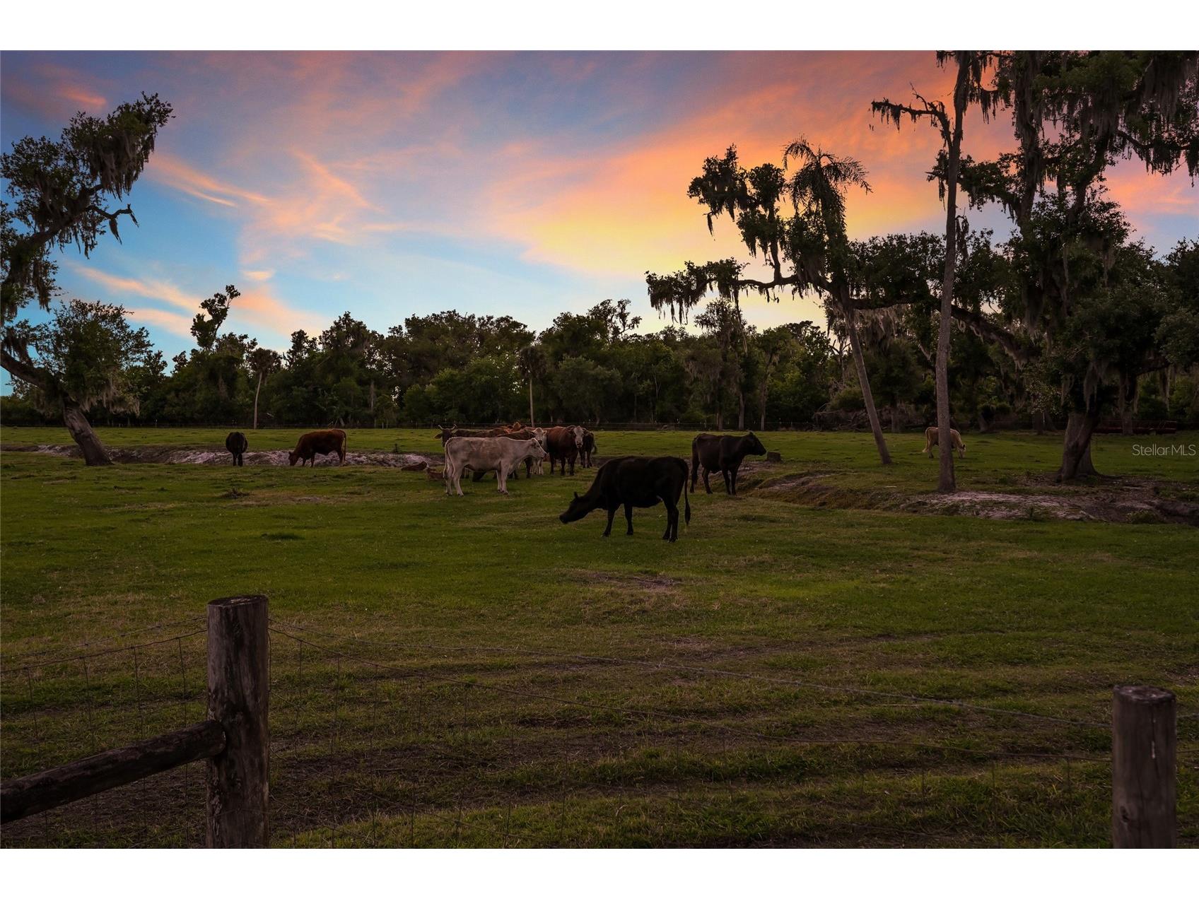 30854 Singletary Road Myakka City FL 34251 A4688139 image60