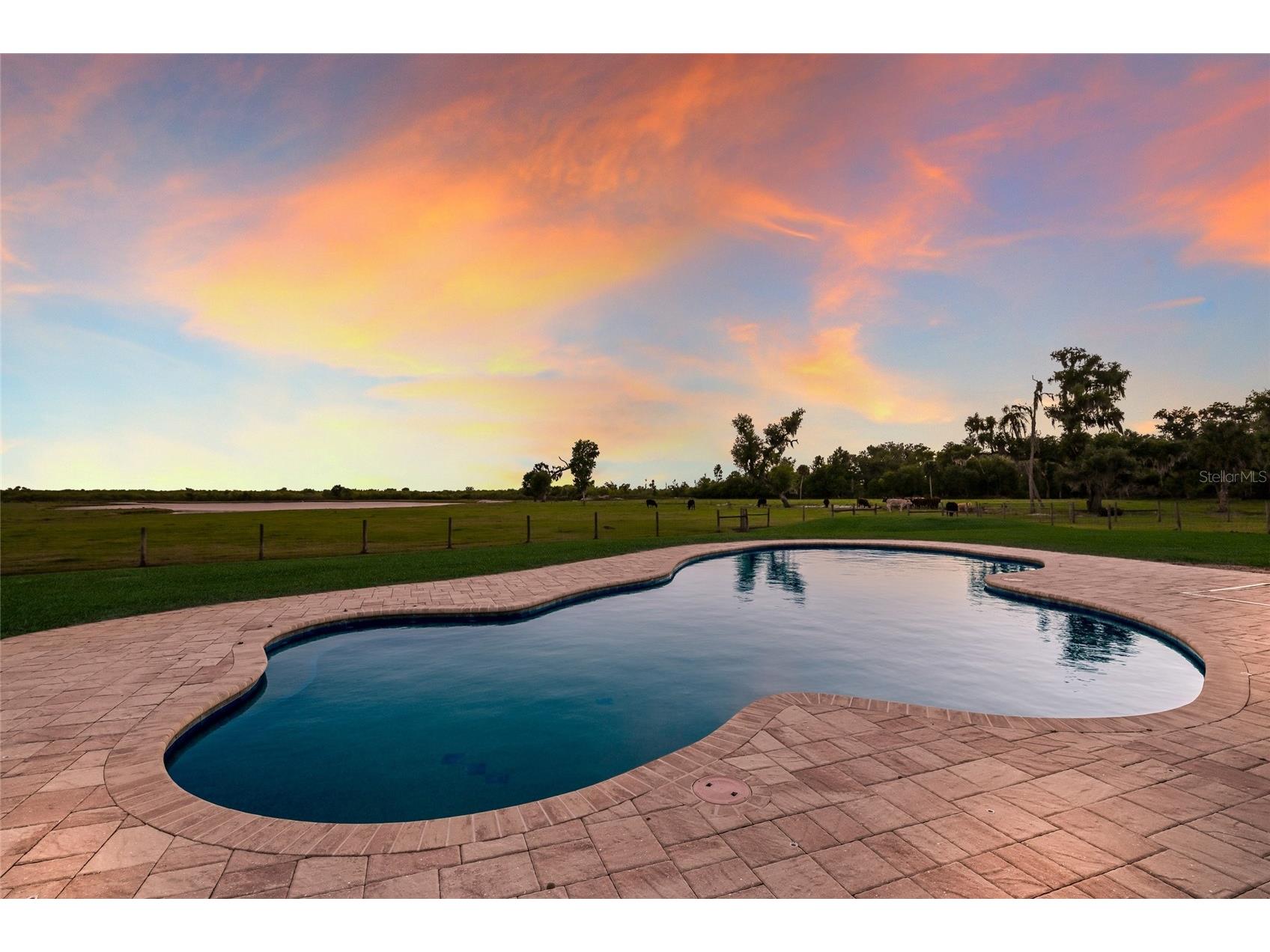 30854 Singletary Road Myakka City FL 34251 A4688139 image7