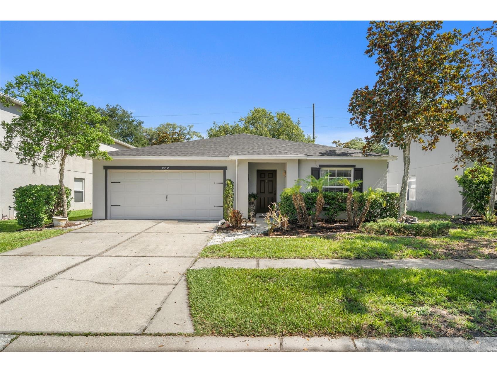 30855 Temple Stand Avenue Wesley Chapel FL 33543 TB8508526 image1