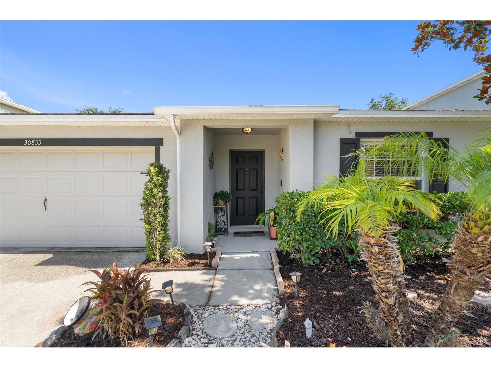 30855 Temple Stand Avenue Wesley Chapel FL 33543 TB8508526 image4