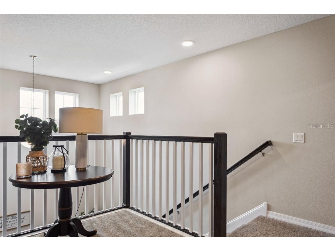 3086 Misty Marble Drive Zephyrhills FL 33540 TB8433904 image15