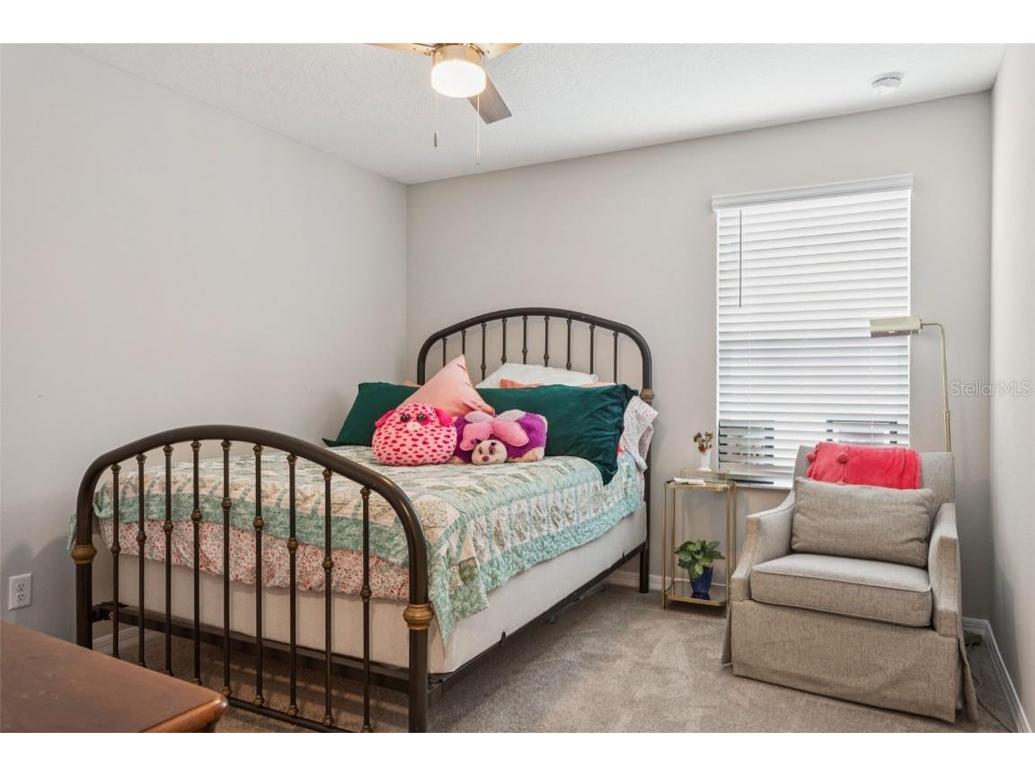 3086 Misty Marble Drive Zephyrhills FL 33540 TB8433904 image16