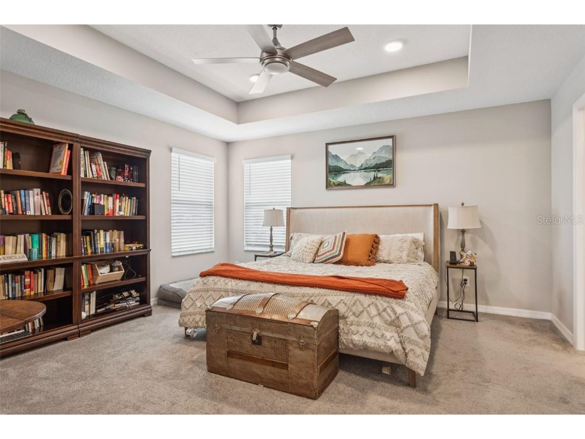 3086 Misty Marble Drive Zephyrhills FL 33540 TB8433904 image19