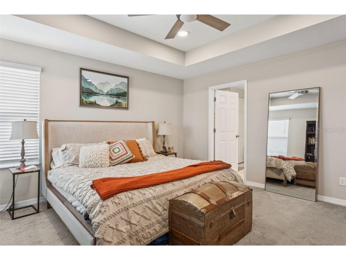 3086 Misty Marble Drive Zephyrhills FL 33540 TB8433904 image20