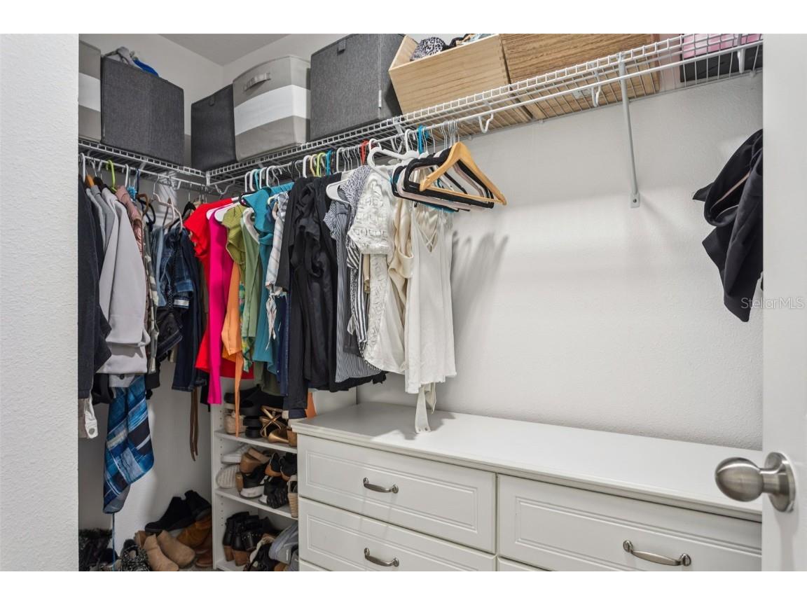 3086 Misty Marble Drive Zephyrhills FL 33540 TB8433904 image23