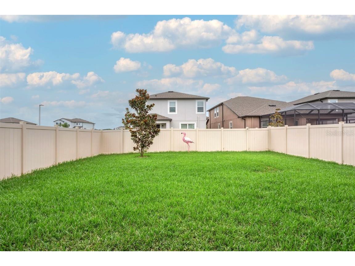 3086 Misty Marble Drive Zephyrhills FL 33540 TB8433904 image24