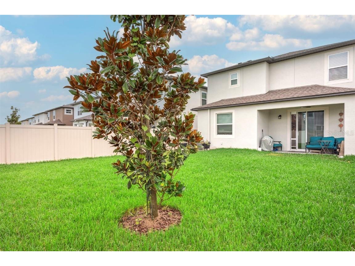 3086 Misty Marble Drive Zephyrhills FL 33540 TB8433904 image25