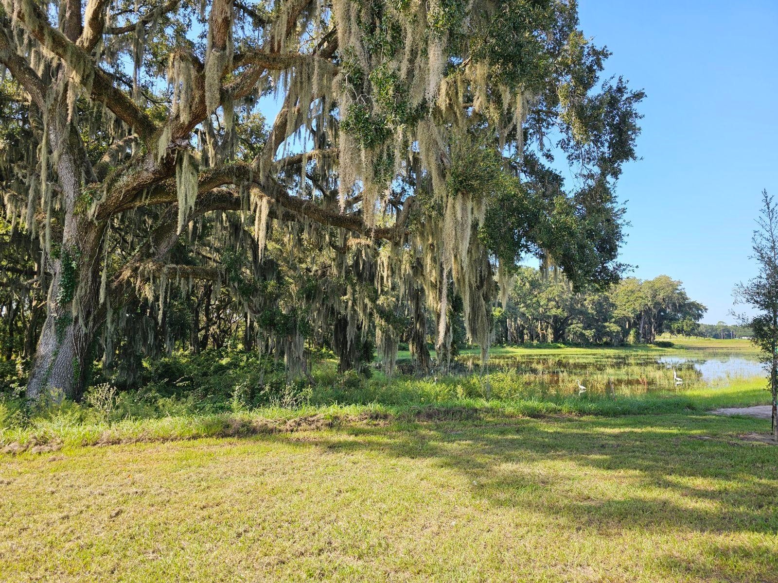 3087 Evenmore Way Wildwood FL 34785 OM721579 image29