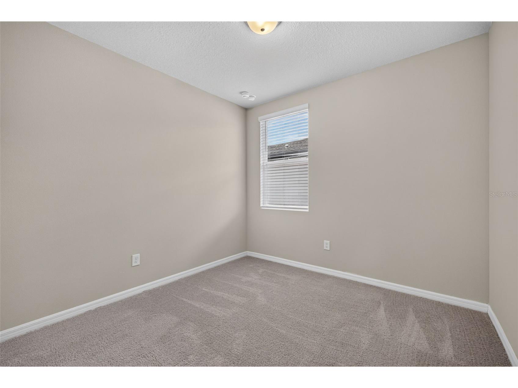 3087 Forrest Plum Court Zephyrhills FL 33540 TB8526513 image10