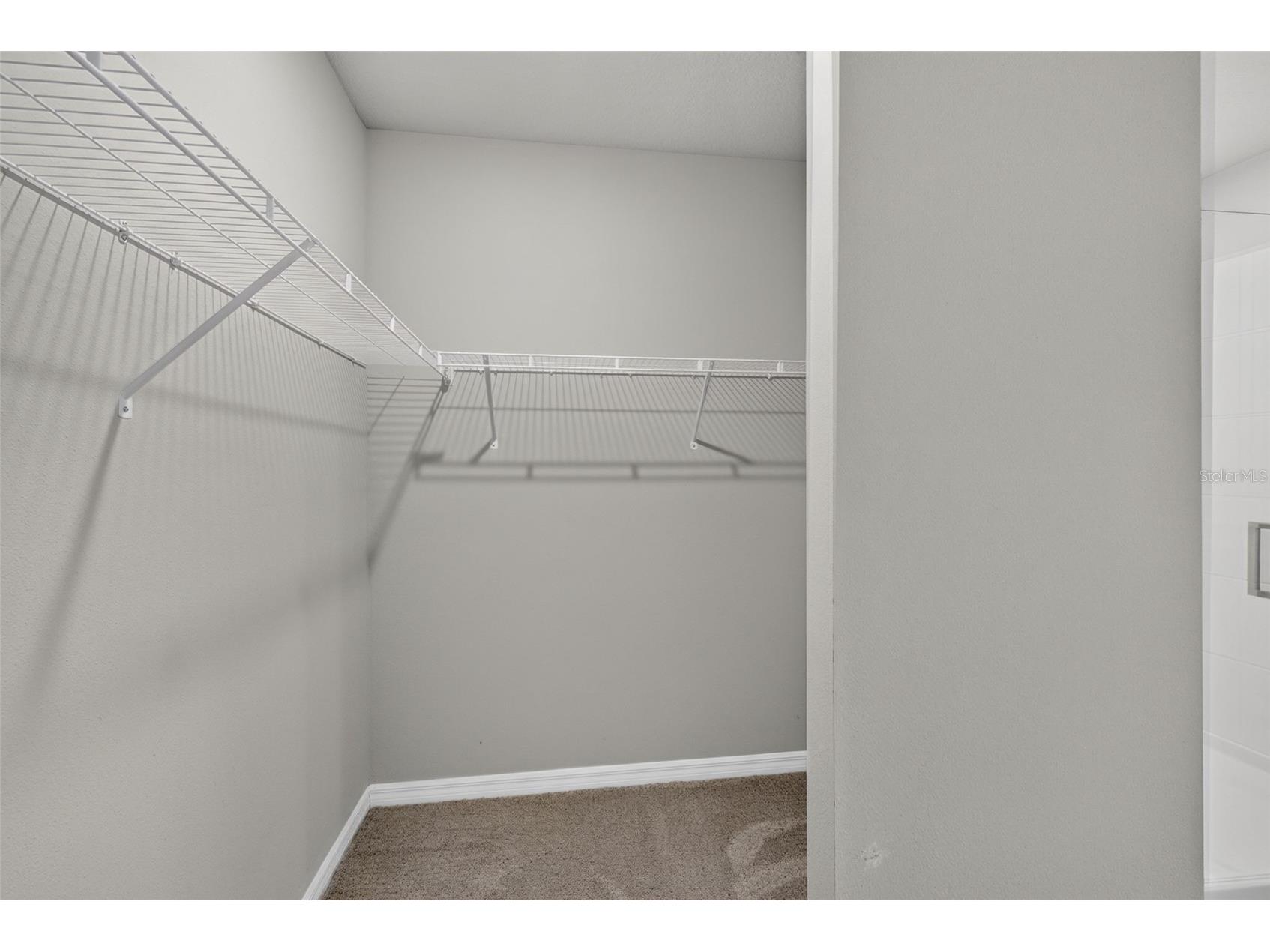 3087 Forrest Plum Court Zephyrhills FL 33540 TB8526513 image33