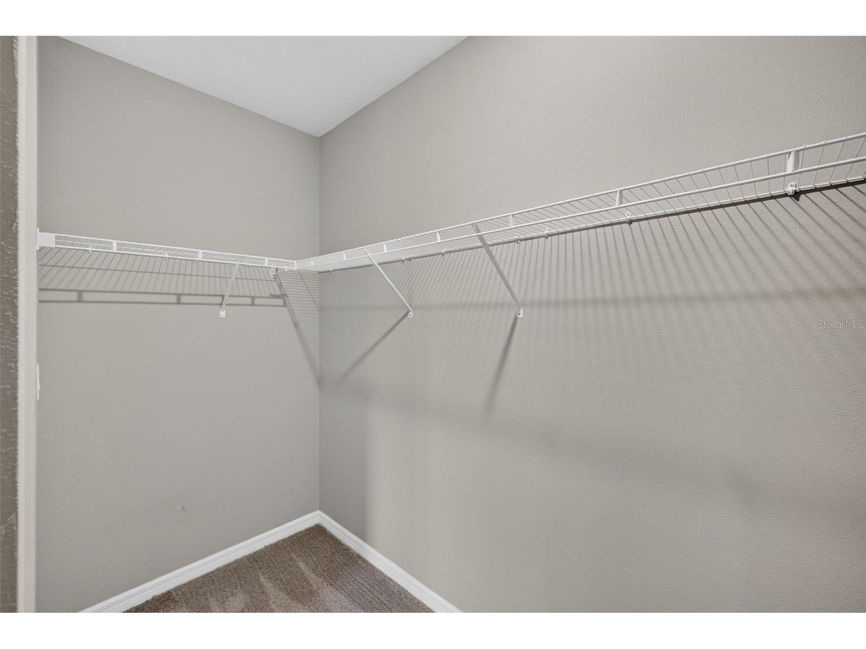 3087 Forrest Plum Court Zephyrhills FL 33540 TB8526513 image35