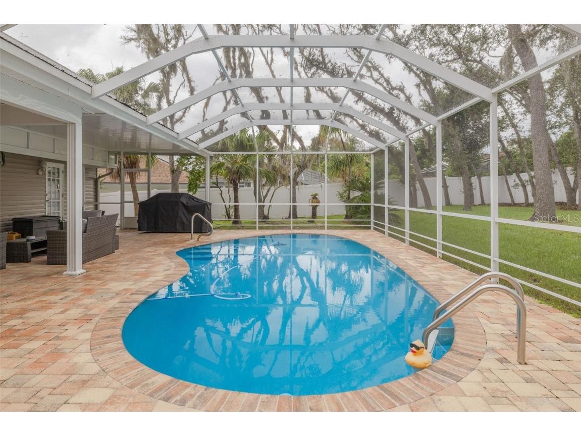 3088 Enisglen Drive Palm Harbor FL 34683 TB8421473 image20