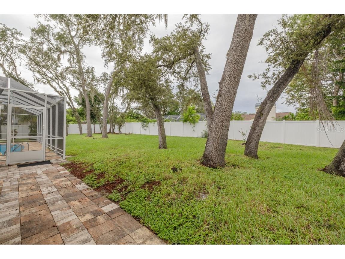3088 Enisglen Drive Palm Harbor FL 34683 TB8421473 image38