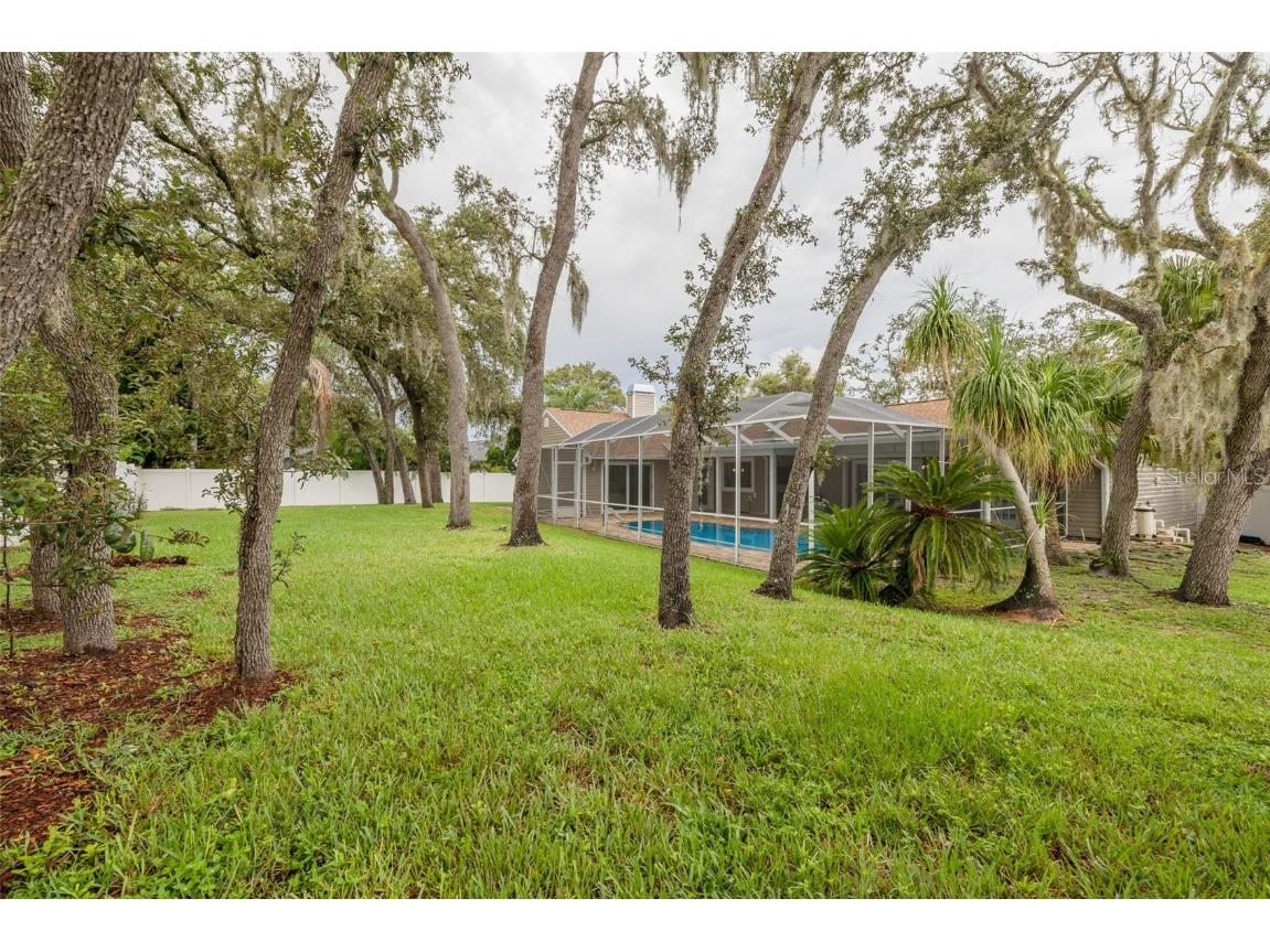 3088 Enisglen Drive Palm Harbor FL 34683 TB8421473 image39