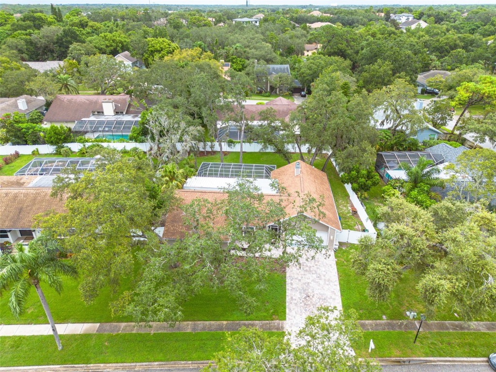 3088 Enisglen Drive Palm Harbor FL 34683 TB8421473 image41