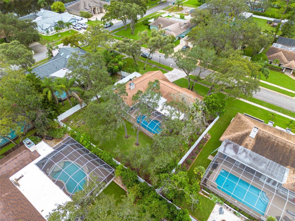 3088 Enisglen Drive Palm Harbor FL 34683 TB8421473 image44