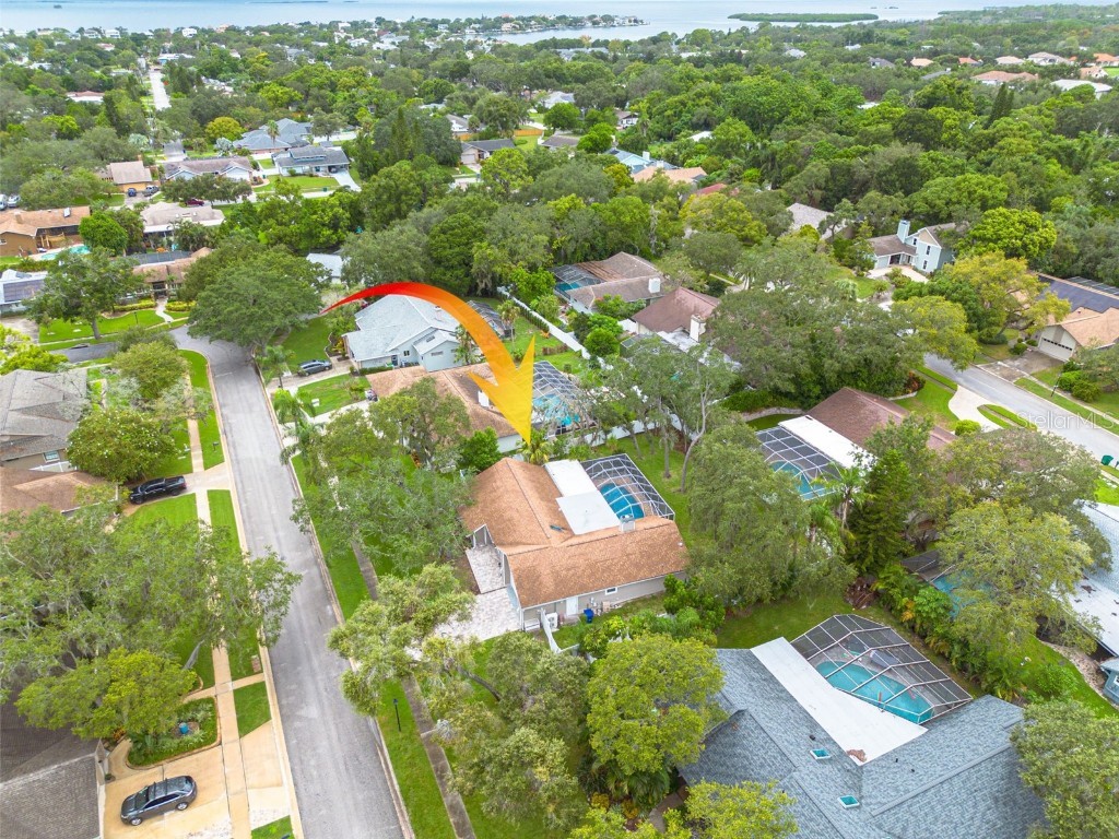 3088 Enisglen Drive Palm Harbor FL 34683 TB8421473 image46