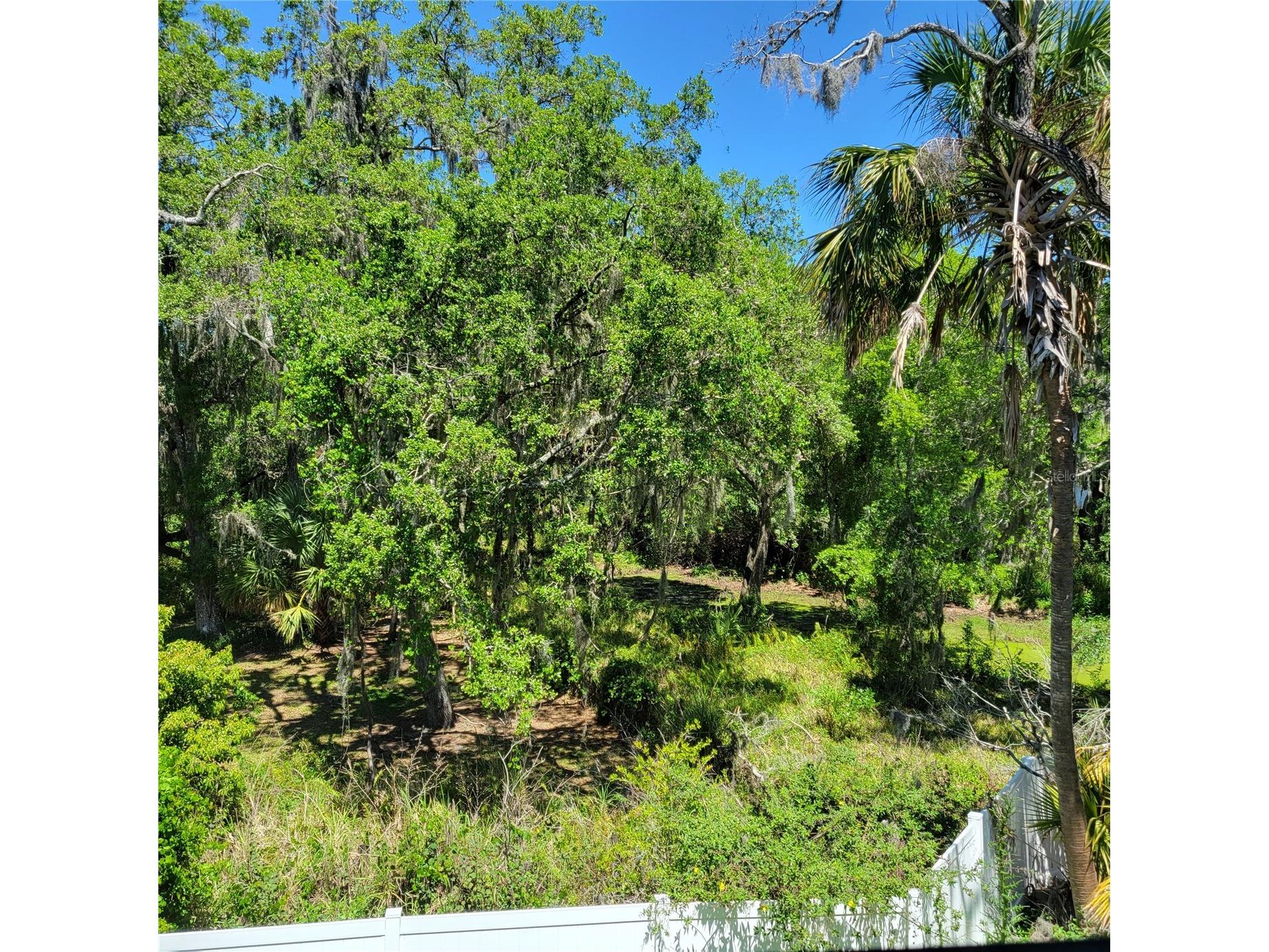 3088 Via Sienna Circle #3088 Sarasota FL 34243 A4661210 image39