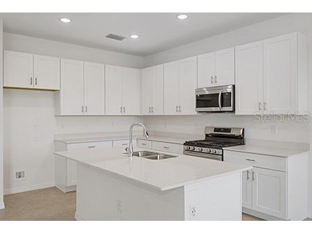 3088 Windswept Wildwood FL 34785 O6314880 image11