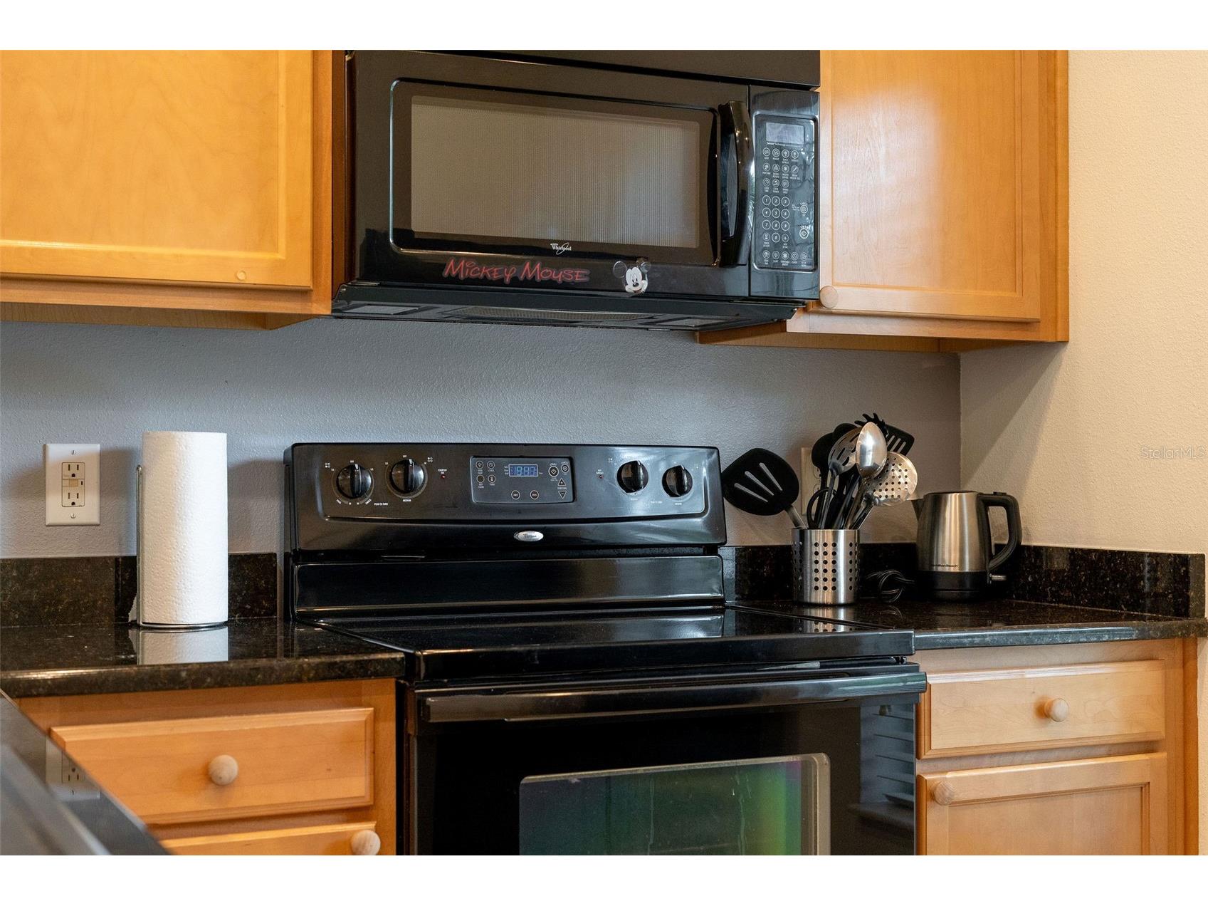 3088 Yellow Lantana Lane Kissimmee FL 34747 O6302859 image34