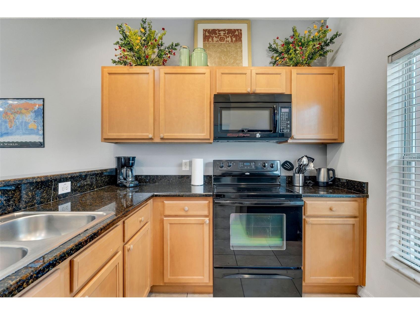 3088 Yellow Lantana Lane Kissimmee FL 34747 O6302859 image6