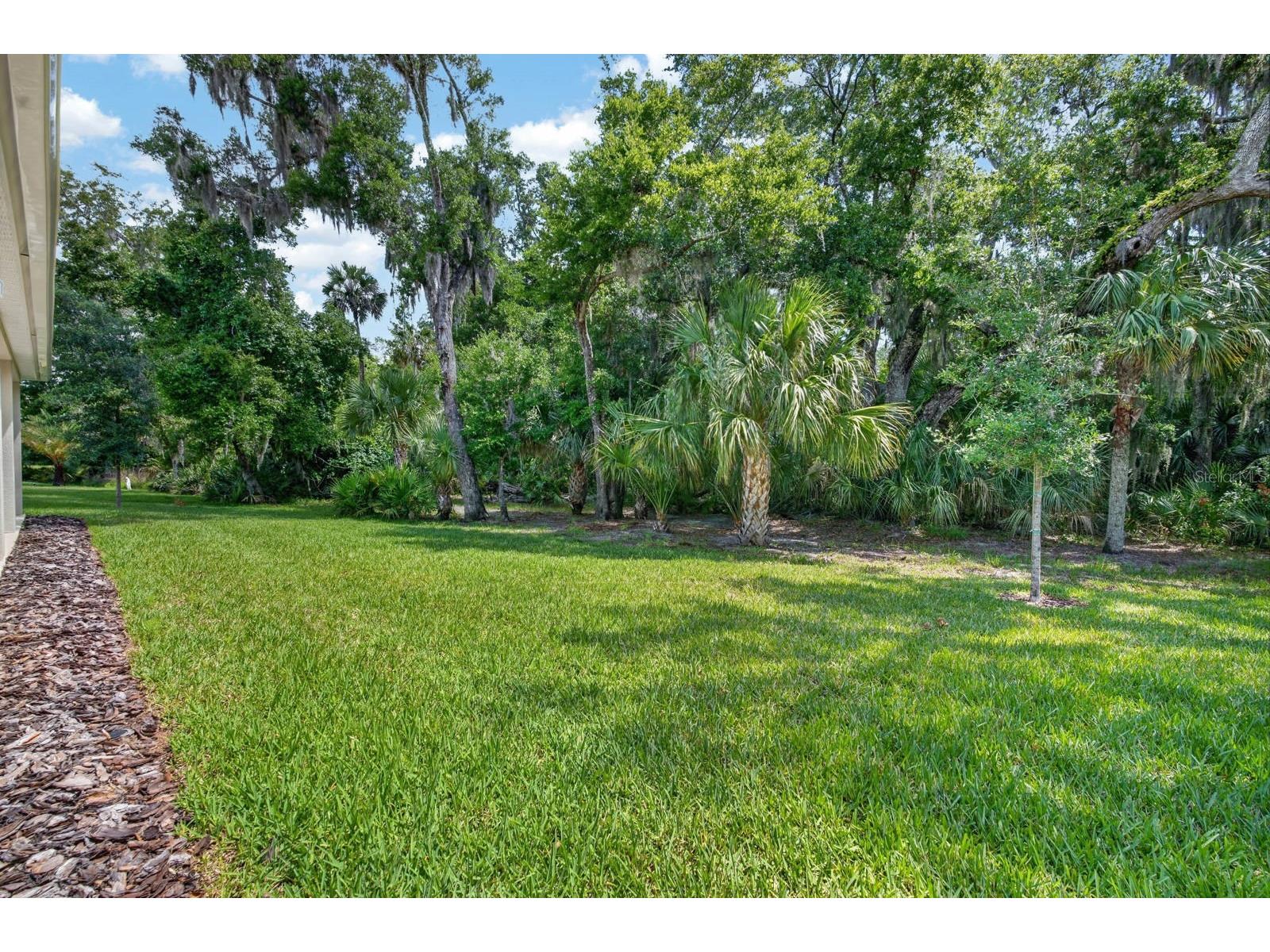 3089 Adrian Drive Ormond Beach FL 32174 FC318554 image43