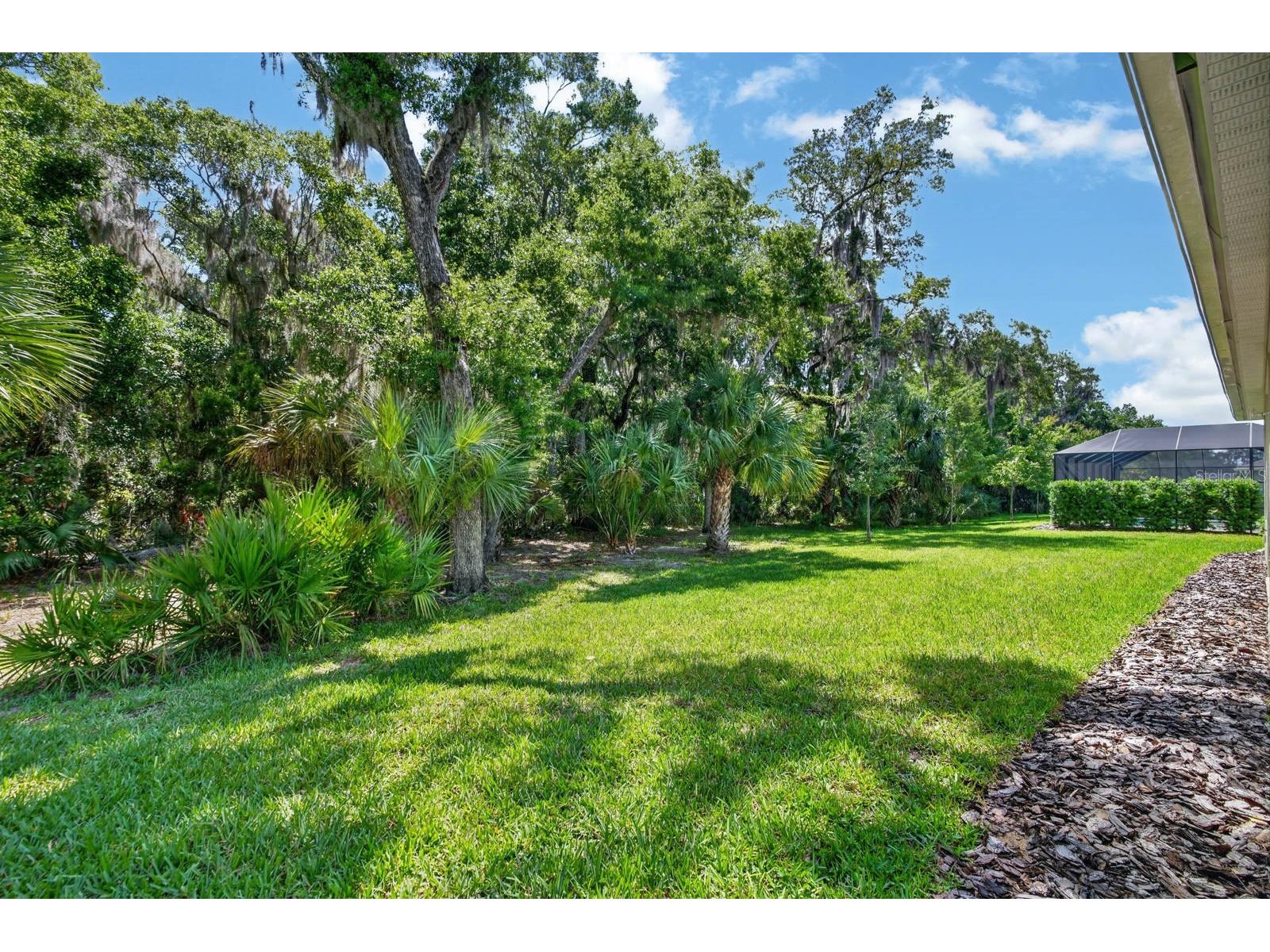 3089 Adrian Drive Ormond Beach FL 32174 FC318554 image44