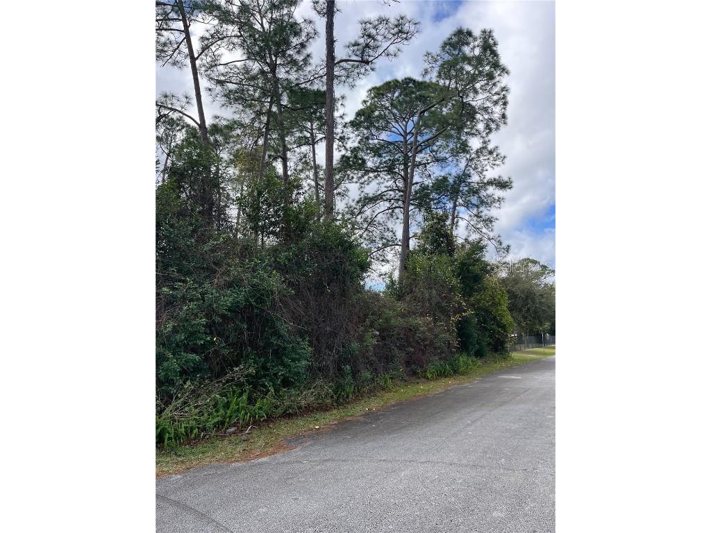 309 Alemander Avenue Debary FL 32713 O6173190 image1