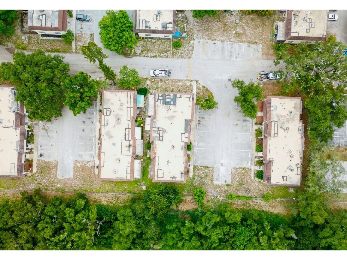 309 Amherst Avenue #51 Sarasota FL 34232 A4697447 image6